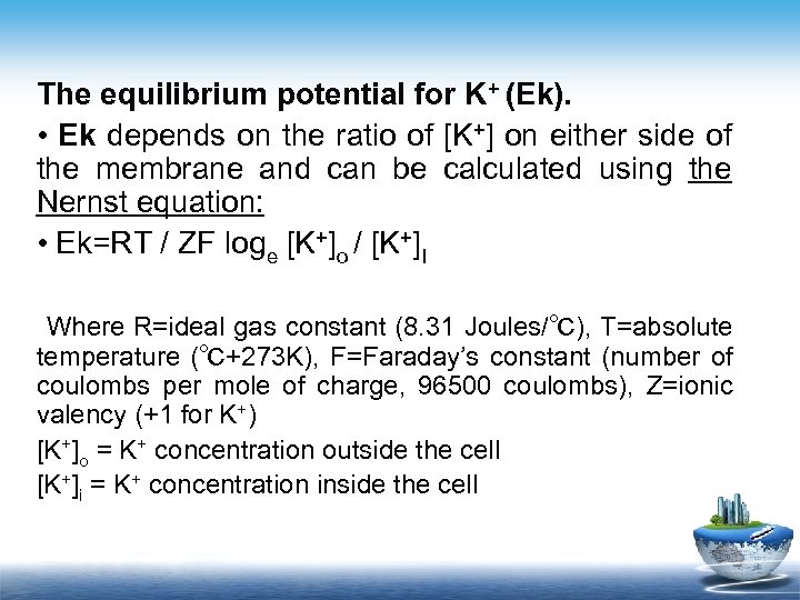 The equilibrium potential for K+ (Ek). • Ek depends on the ratio of [K+]