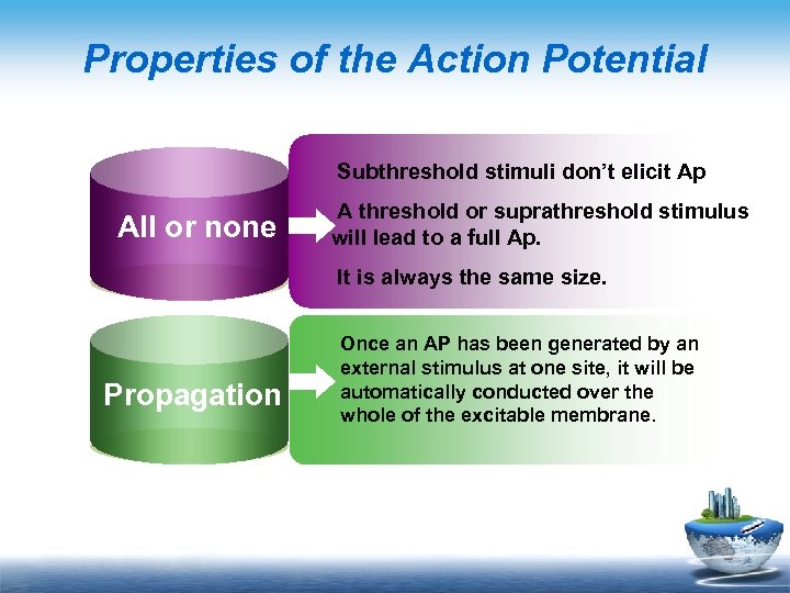 Properties of the Action Potential Subthreshold stimuli don’t elicit Ap All or none A