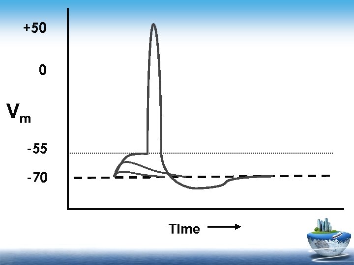 +50 0 Vm -55 -70 Time 