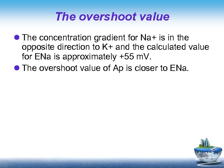 The overshoot value l The concentration gradient for Na+ is in the opposite direction