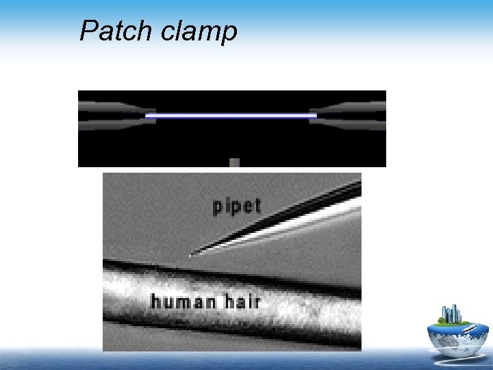 Patch clamp 