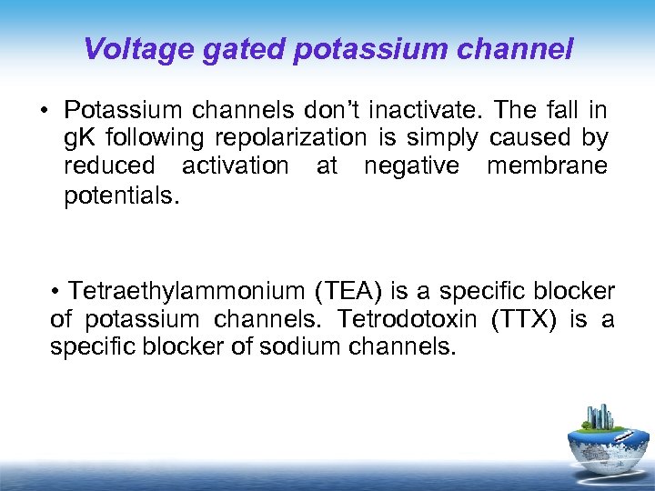 Voltage gated potassium channel • Potassium channels don’t inactivate. The fall in g. K