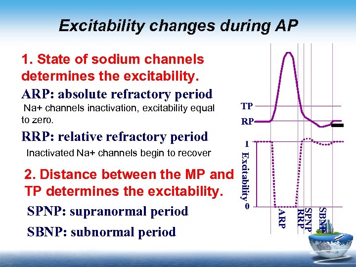 Excitability changes during AP 1. State of sodium channels determines the excitability. ARP: absolute