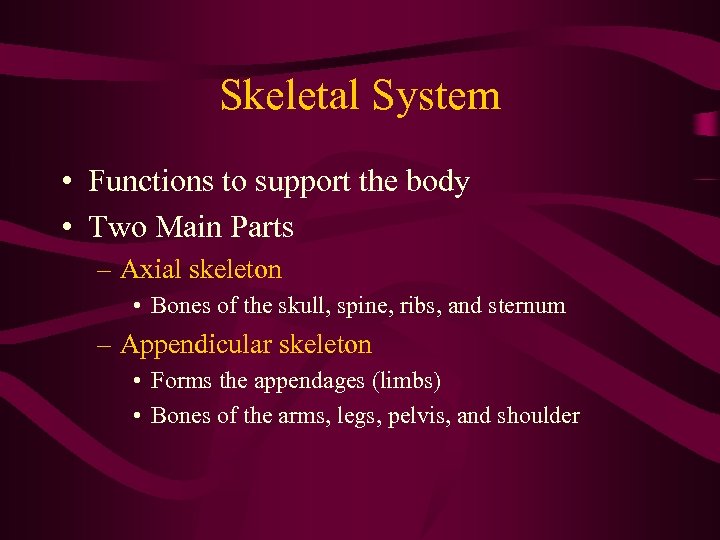 Skeletal System • Functions to support the body • Two Main Parts – Axial