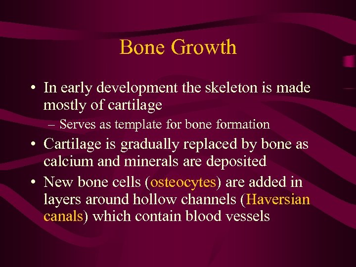 Bone Growth • In early development the skeleton is made mostly of cartilage –
