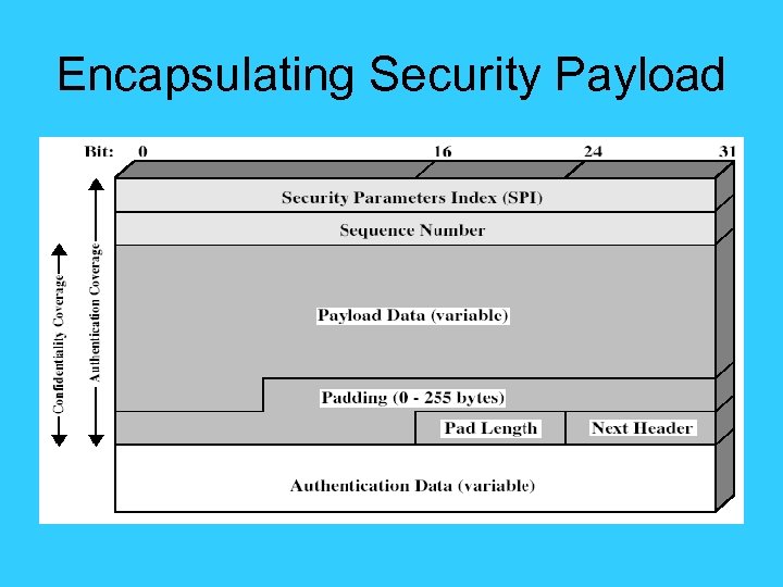 Encapsulating Security Payload 