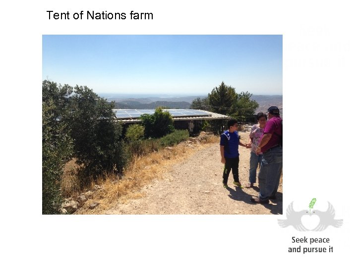 Tent of Nations farm 
