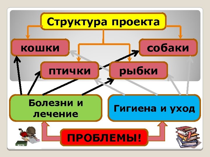 Структура проекта кошки собаки птички Болезни и лечение рыбки Гигиена и уход ПРОБЛЕМЫ! 