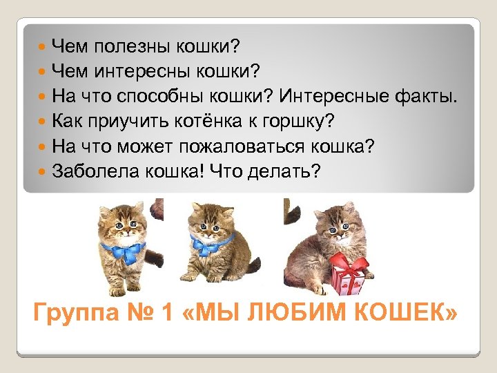 Чем полезны кошки? Чем интересны кошки? На что способны кошки? Интересные факты. Как приучить