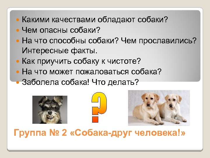 Какими качествами обладают собаки? Чем опасны собаки? На что способны собаки? Чем прославились? Интересные