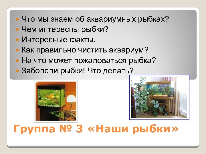 Что мы знаем об аквариумных рыбках? Чем интересны рыбки? Интересные факты. Как правильно чистить