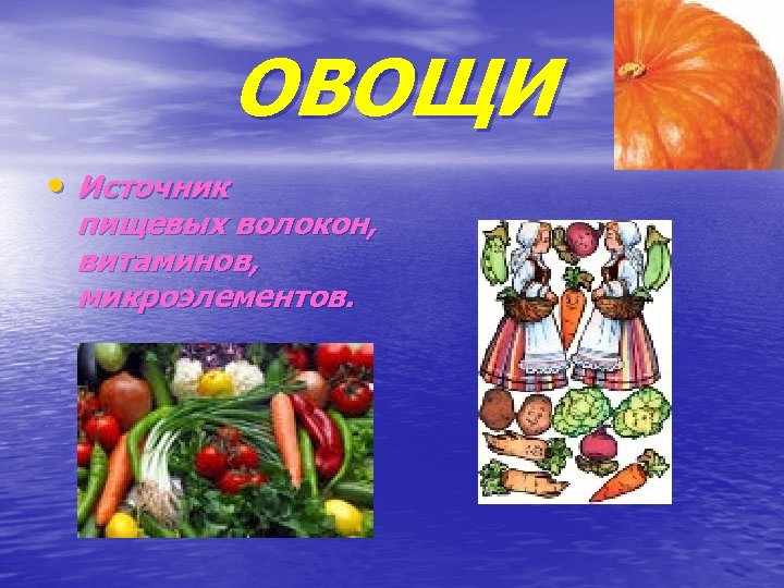 ОВОЩИ • Источник пищевых волокон, витаминов, микроэлементов. 