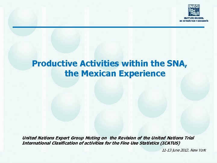 Productive Activities within the SNA, the Mexican Experience United Nations Expert Group Muting on