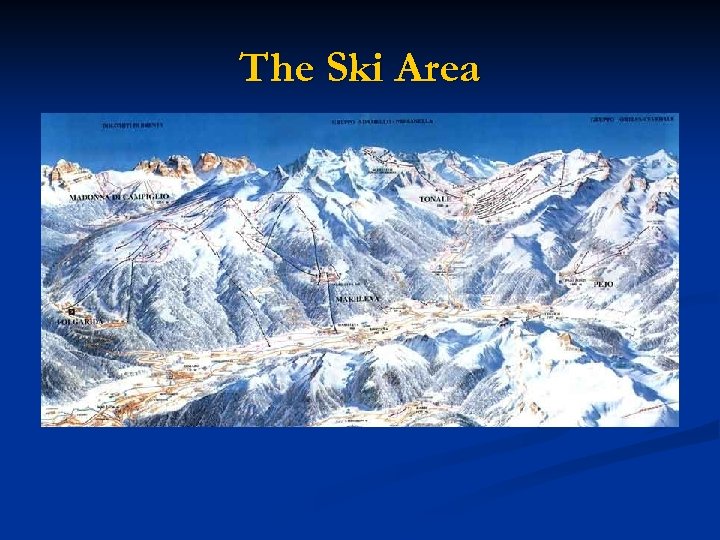 The Ski Area 