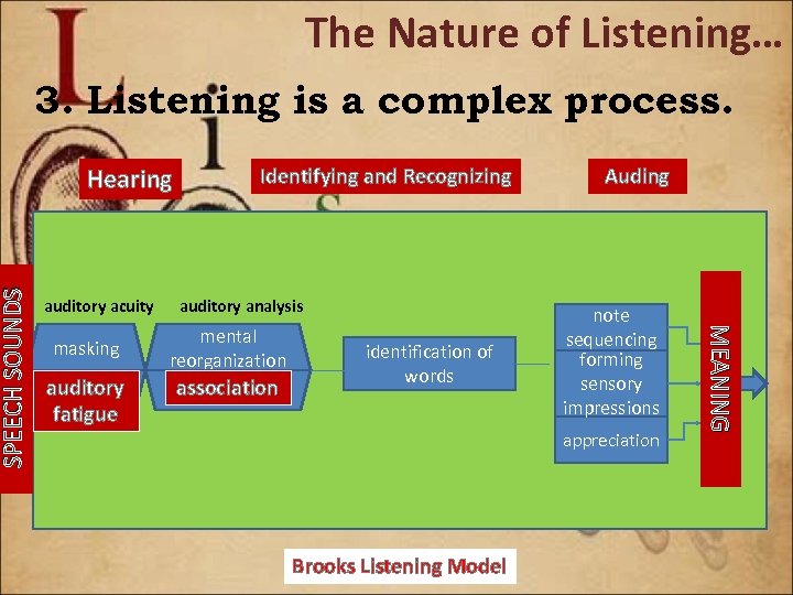 3. Listening is a complex process. Hearing auditory acuity masking auditory fatigue Identifying and