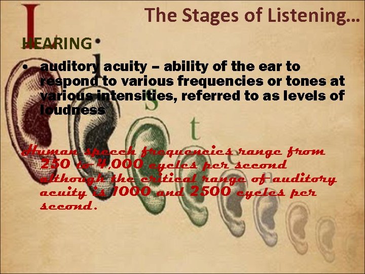 The Stages of Listening… HEARING • auditory acuity – ability of the ear to