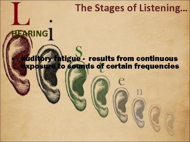 The Stages of Listening… HEARING • auditory fatigue - results from continuous exposure to