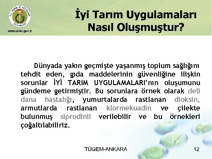 İyi Tarım Uygulamaları Nasıl Oluşmuştur? Dünyada yakın geçmişte yaşanmış toplum sağlığını tehdit eden, gıda