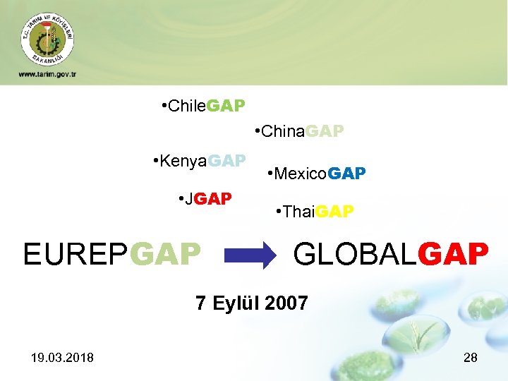  • Chile. GAP • China. GAP • Kenya. GAP • JGAP EUREPGAP •