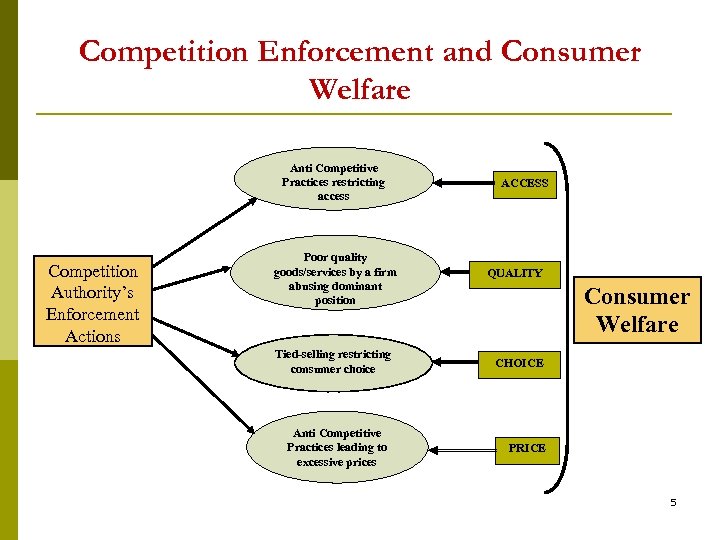 Competition Enforcement and Consumer Welfare Anti Competitive Practices restricting access Competition Authority’s Enforcement Actions