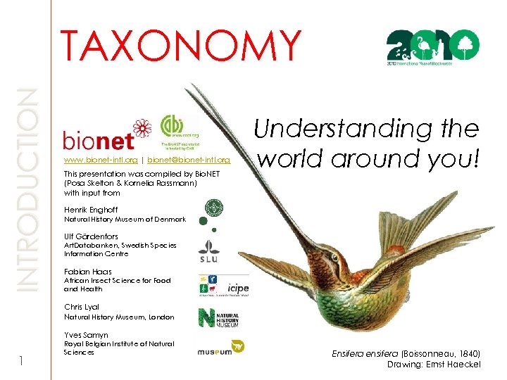 INTRODUCTION TAXONOMY www. bionet-intl. org | bionet@bionet-intl. org This presentation was compiled by Bio.