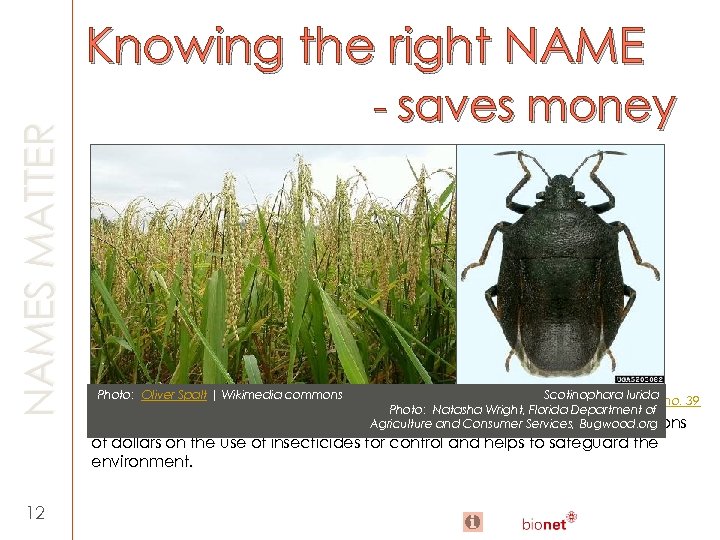 NAMES MATTER Knowing the right NAME 12 - saves money Photo: Oliver Spalt |