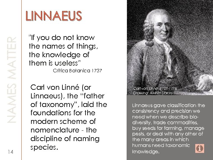 NAMES MATTER LINNAEUS 14 "If you do not know the names of things, the