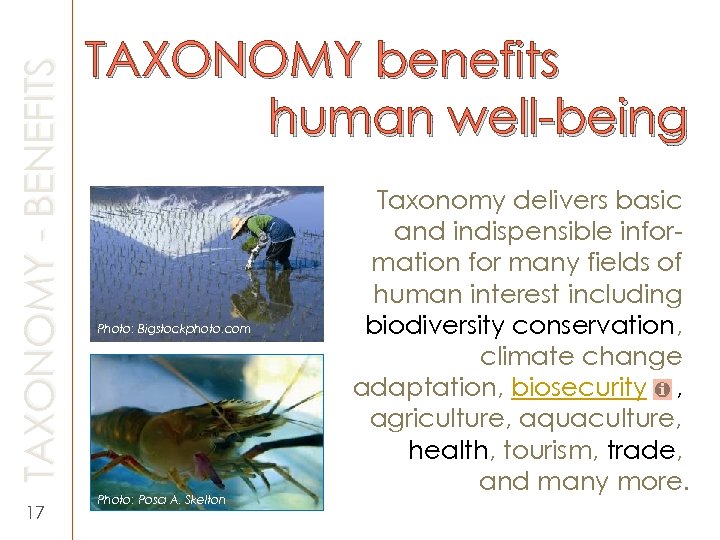 TAXONOMY - BENEFITS 17 TAXONOMY benefits human well-being Photo: Bigstockphoto. com Photo: ? ?