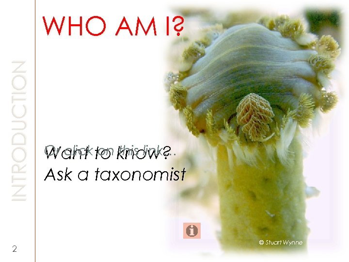 INTRODUCTION WHO AM I? 2 Or click to know? Want on this link… Ask