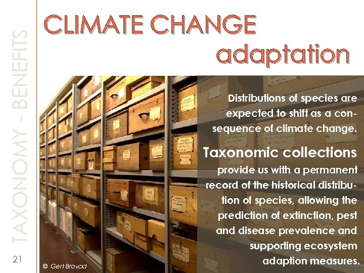 TAXONOMY - BENEFITS 21 CLIMATE CHANGE adaptation Distributions of species are expected to shift