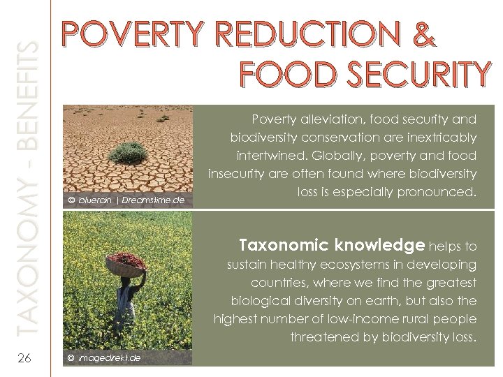 TAXONOMY - BENEFITS 26 POVERTY REDUCTION & FOOD SECURITY © bluerain | Dreamstime. de