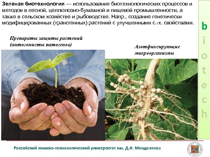 Зеленая биотехнология — использование биотехнологических процессов и методов в лесной, целлюлозно бумажной и пищевой