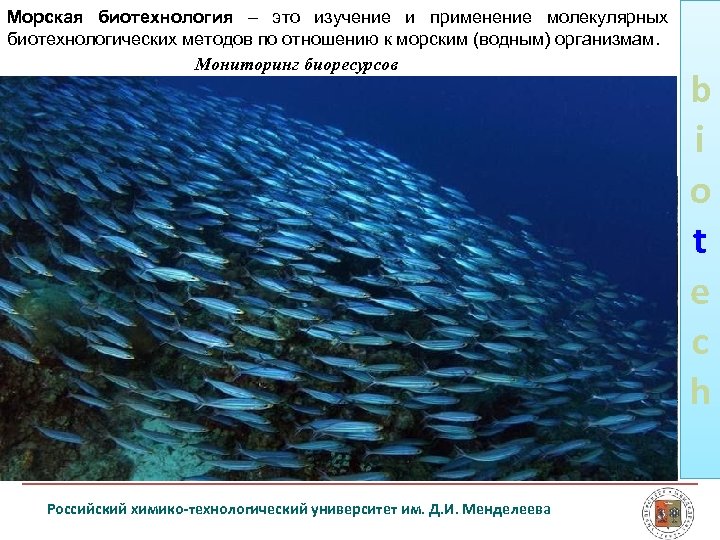 Морская биотехнология – это изучение и применение молекулярных биотехнологических методов по отношению к морским