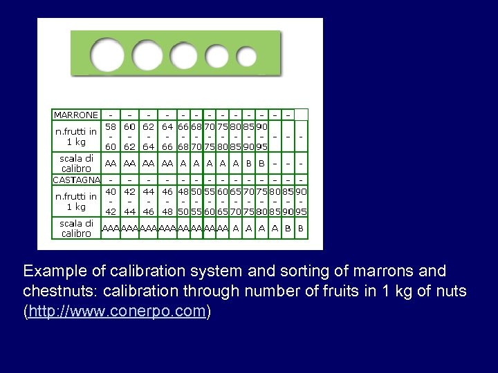 Example of calibration system and sorting of marrons and chestnuts: calibration through number of