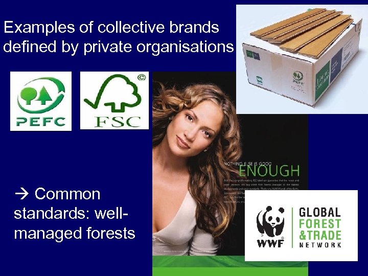 Examples of collective brands defined by private organisations Common standards: wellmanaged forests 