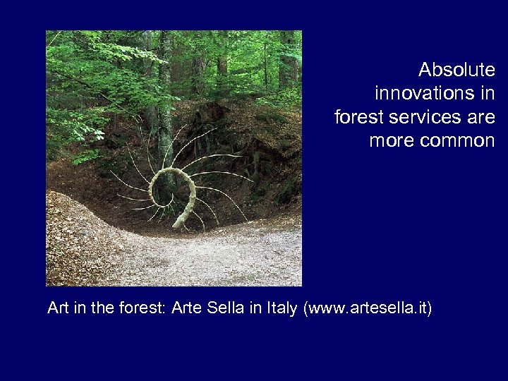 Absolute innovations in forest services are more common Art in the forest: Arte Sella