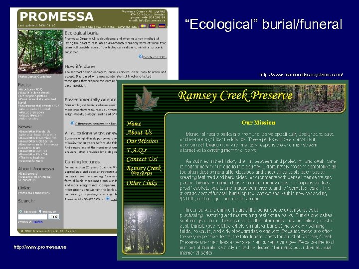 “Ecological” burial/funeral http: //www. memorialecosystems. com/ http: //www. promessa. se 