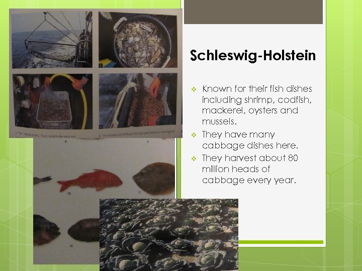 Schleswig-Holstein v v v Known for their fish dishes including shrimp, codfish, mackerel, oysters