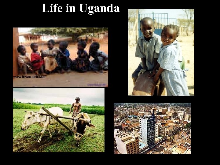 Life in Uganda www. bevex. ch/bilder/ www. childfundinternational. org www. greenpeace. org. uk/Multimedia. Files/Live/Image/4422.