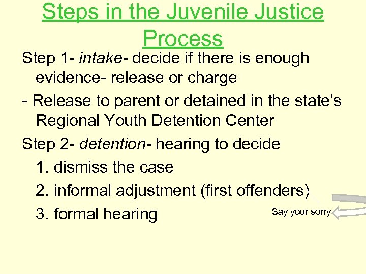 Steps in the Juvenile Justice Process Step 1 - intake- decide if there is