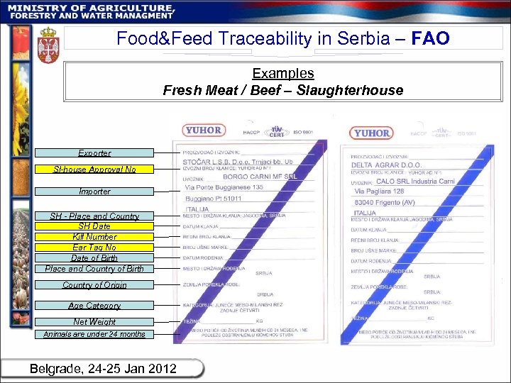 Food&Feed Traceability in Serbia – FAO Examples Fresh Meat / Beef – Slaughterhouse Exporter