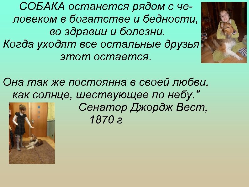 СОБАКА останется рядом с человеком в богатстве и бедности, во здравии и болезни. Когда