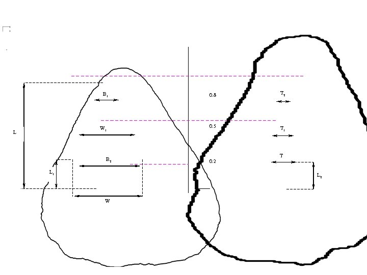 B 1 0. 8 T 2 W 1 L B 2 0. 5 T