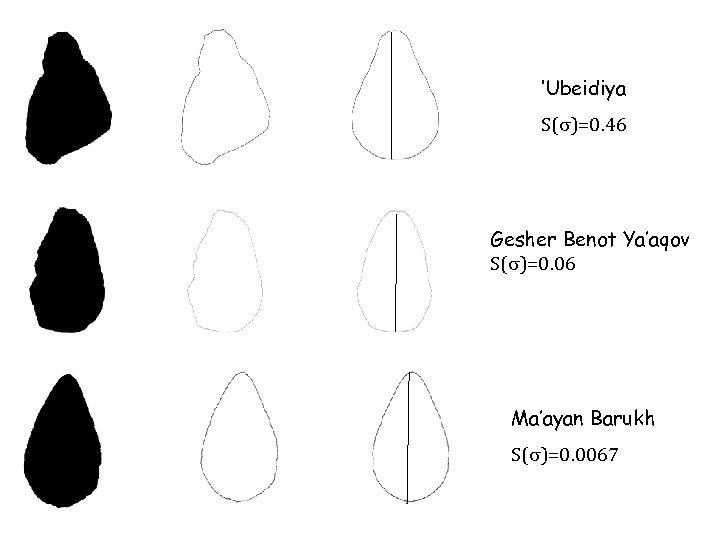 ‘Ubeidiya S(s)=0. 46 Gesher Benot Ya’aqov S(s)=0. 06 Ma’ayan Barukh S(s)=0. 0067 