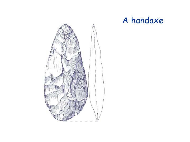 A handaxe 