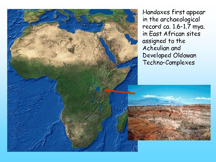 Handaxes first appear in the archaeological record ca. 1. 6 -1. 7 mya. in