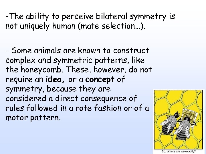 -The ability to perceive bilateral symmetry is not uniquely human (mate selection…). - Some
