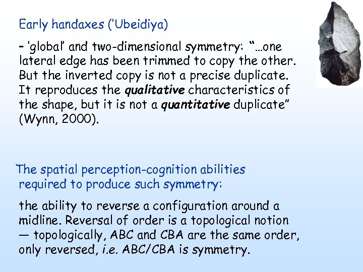 Early handaxes (‘Ubeidiya) – ‘global’ and two-dimensional symmetry: “…one lateral edge has been trimmed
