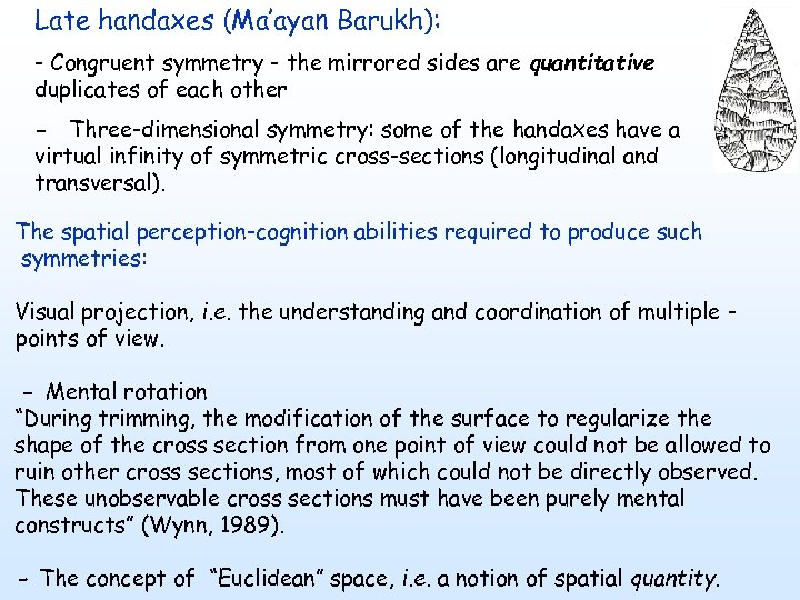 Late handaxes (Ma’ayan Barukh): - Congruent symmetry - the mirrored sides are quantitative duplicates