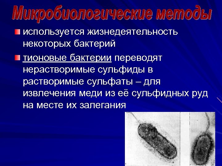 используется жизнедеятельность некоторых бактерий тионовые бактерии переводят нерастворимые сульфиды в растворимые сульфаты – для